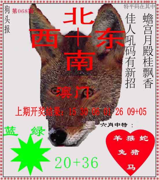 068期狗头报[图]