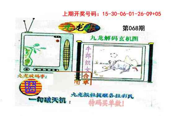 068期九龙报[图]