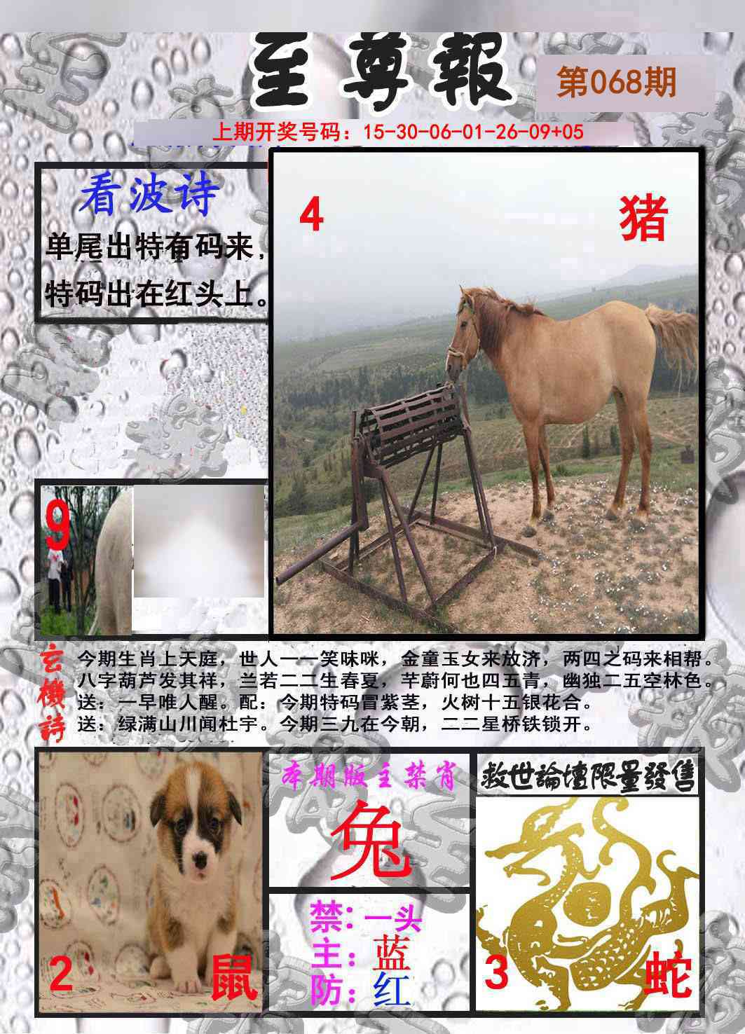 068期至尊报[图]