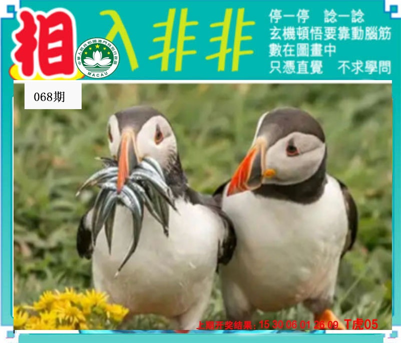 068期相入非非[图]