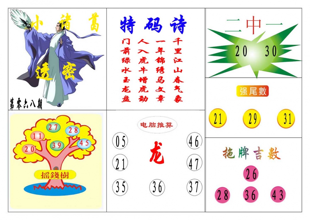 068期小诸葛[图]