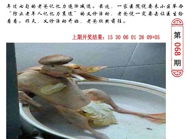 068期澳门生活幽默[图]