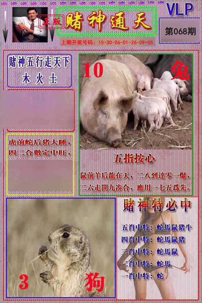 068期赌神通天报[图]